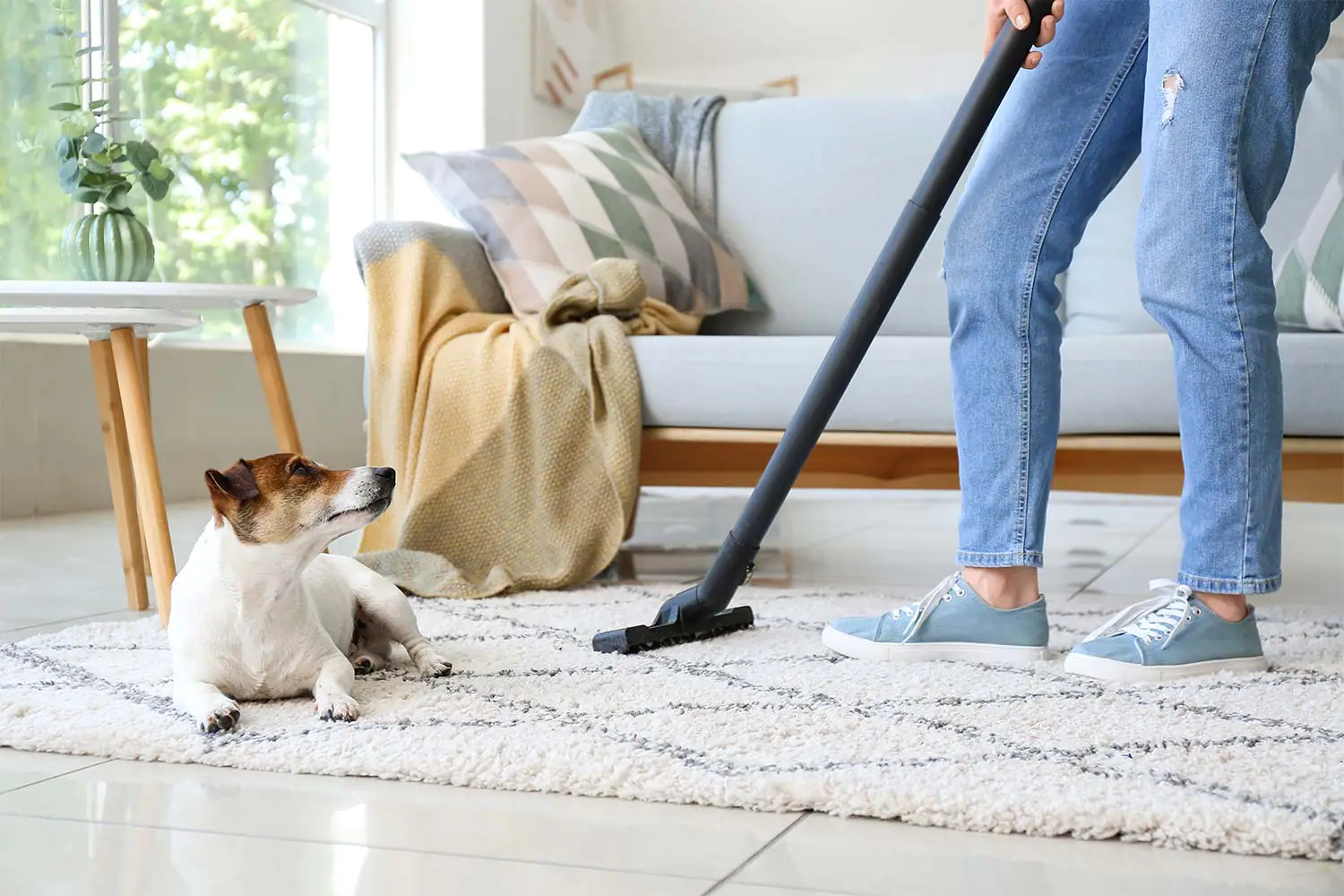 Health Benefits of Carpet Steam Cleaning